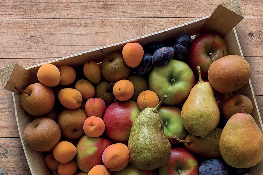 Bunter Mix aus geretteten Früchten in Holzkiste