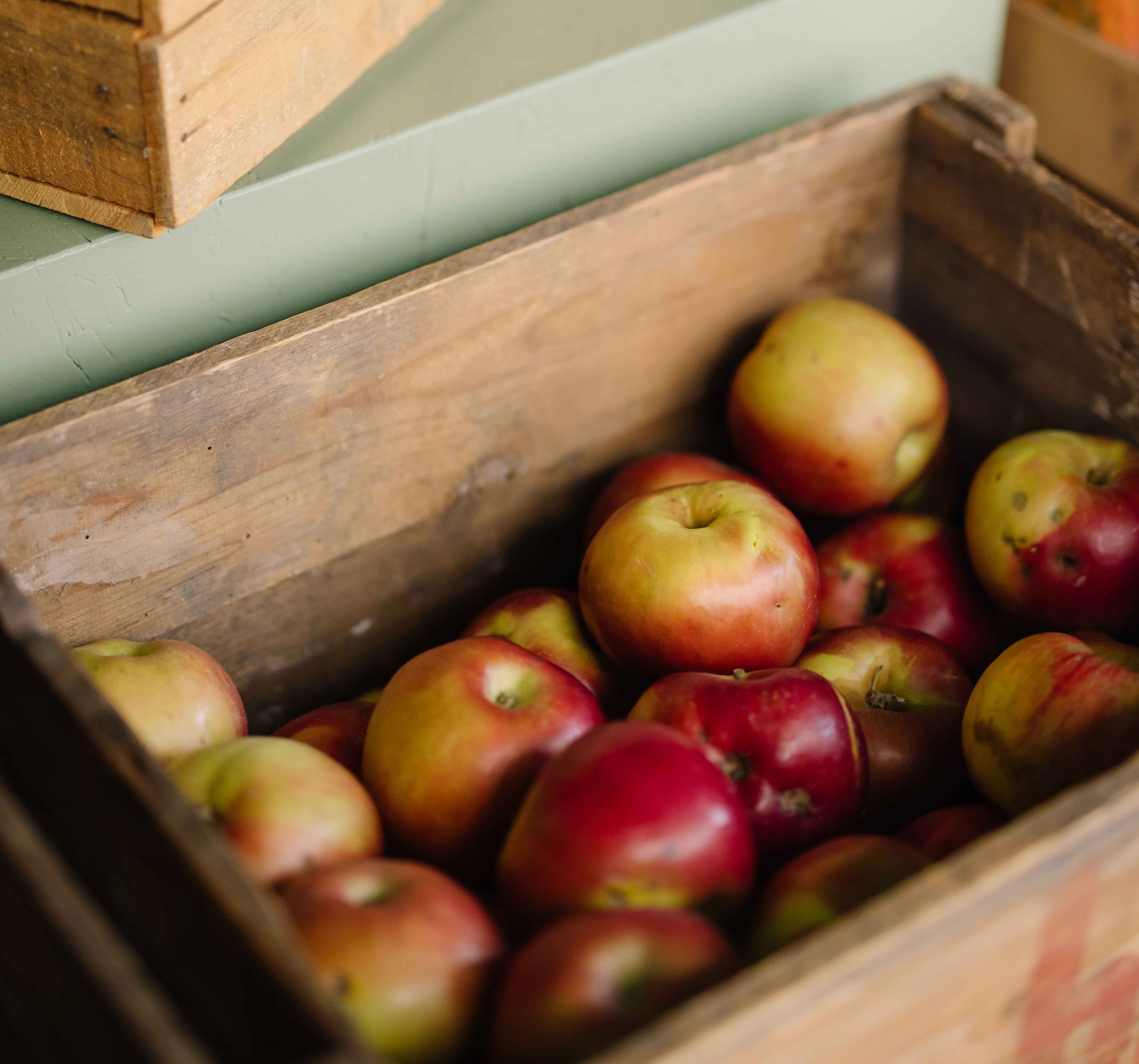 Gerettete Äpfel in Holzkiste