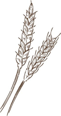 getreide-2