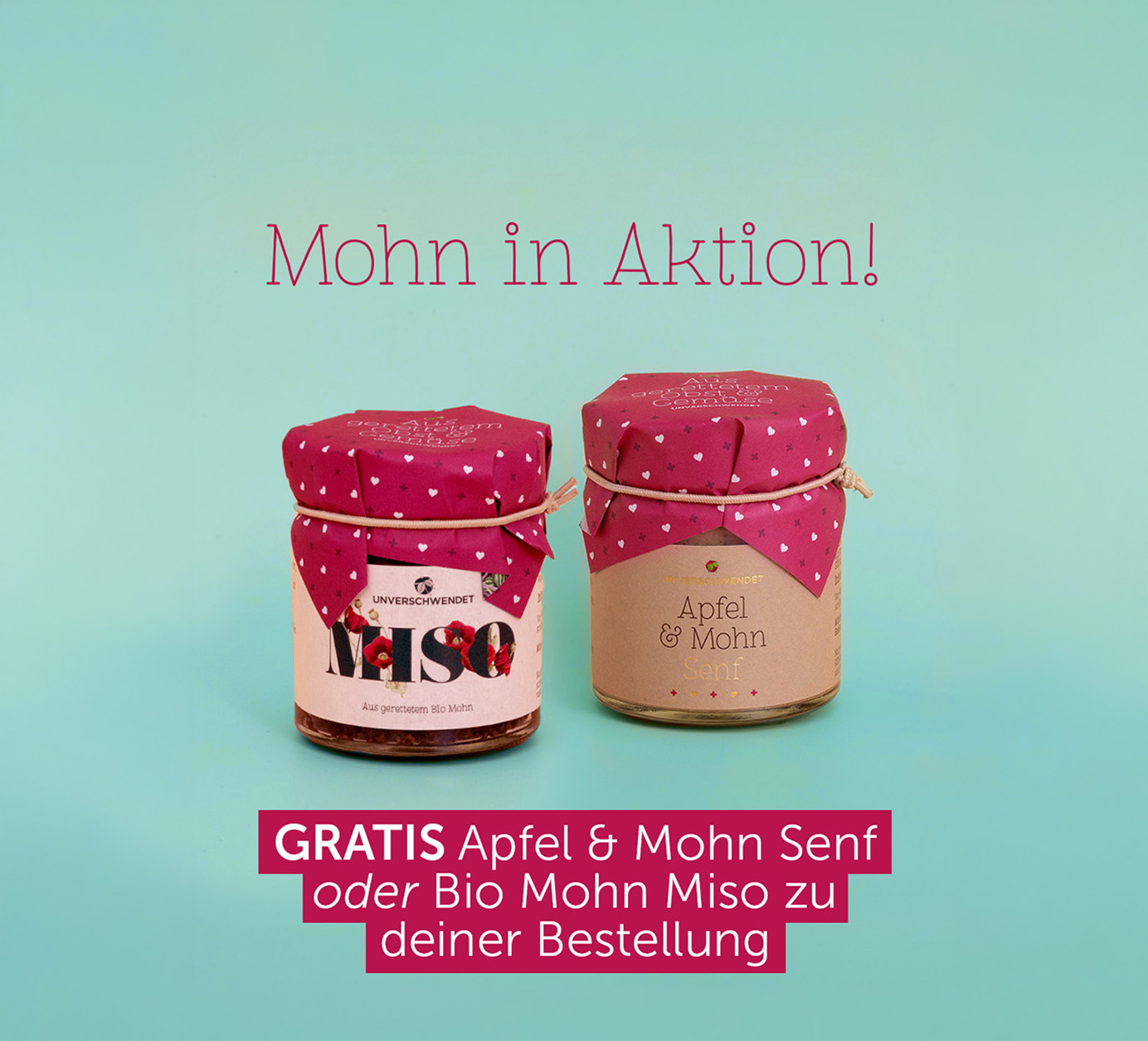 Header-AMSE-MISO-Aktion-mobil-2