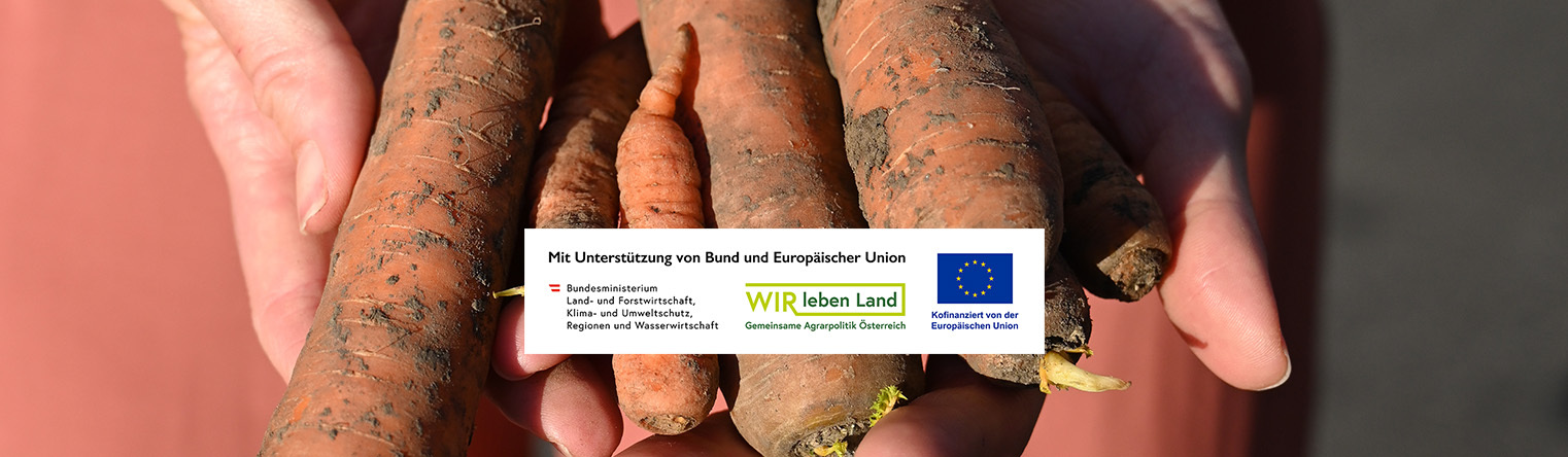 Eine Liebeserklärung an die krumme Karotte