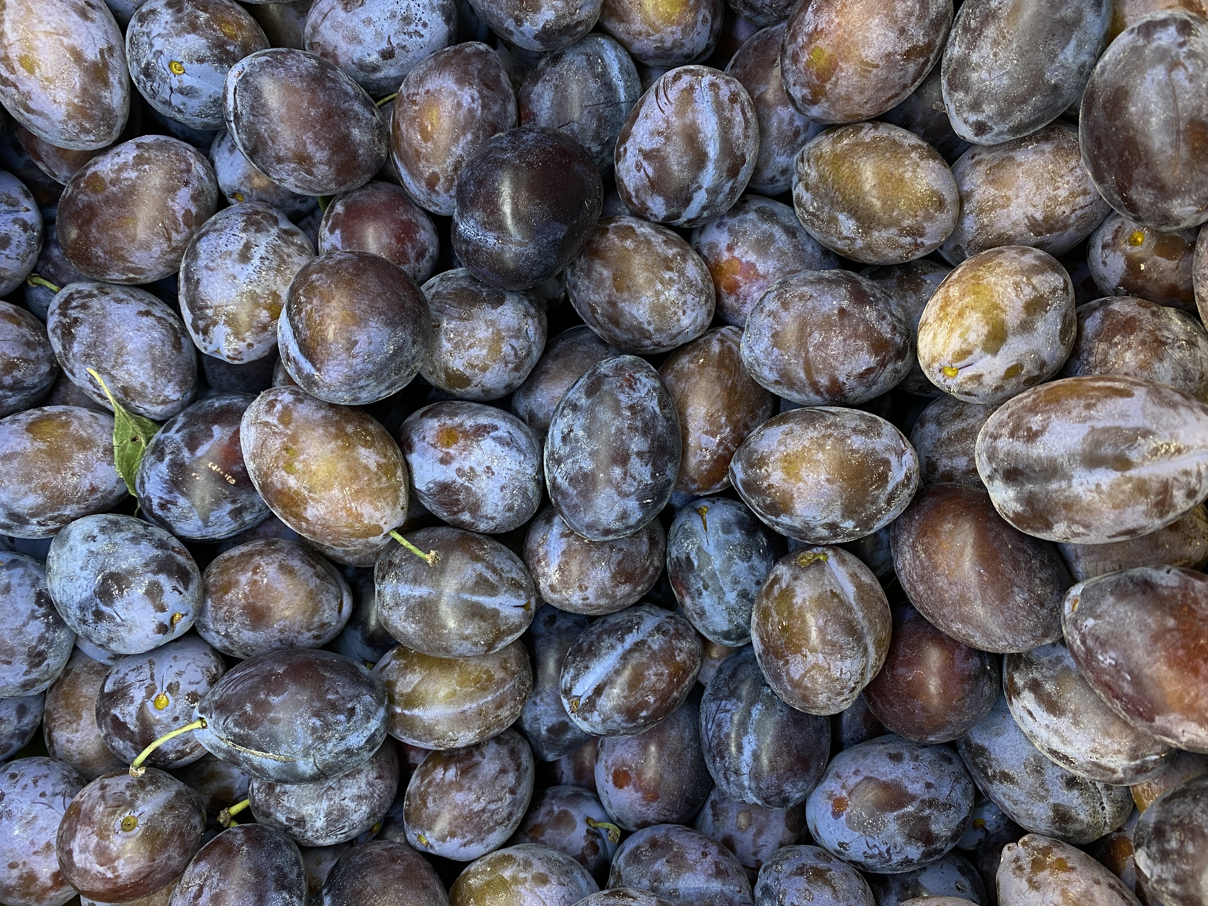 full-frame-shot-bread-sale full-frame-shot-bread-sale