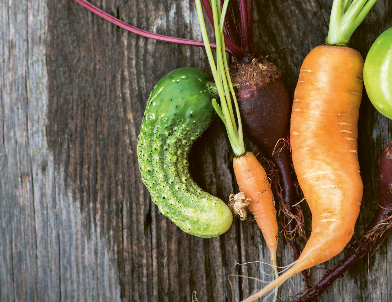 Header-krummes-mobil