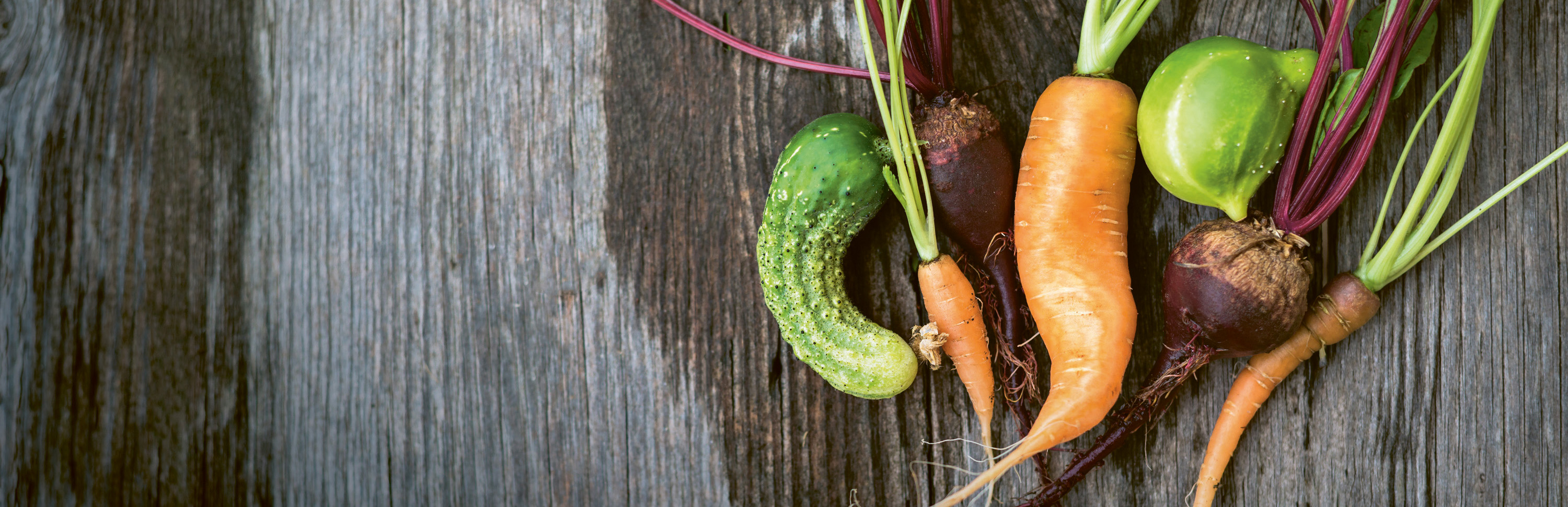 Header-Website-Krummes Header-Website-Krummes